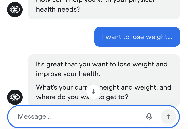 AI Chatbot Integration
